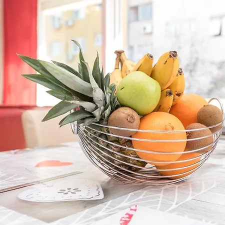 Vila Vila Snjezana *